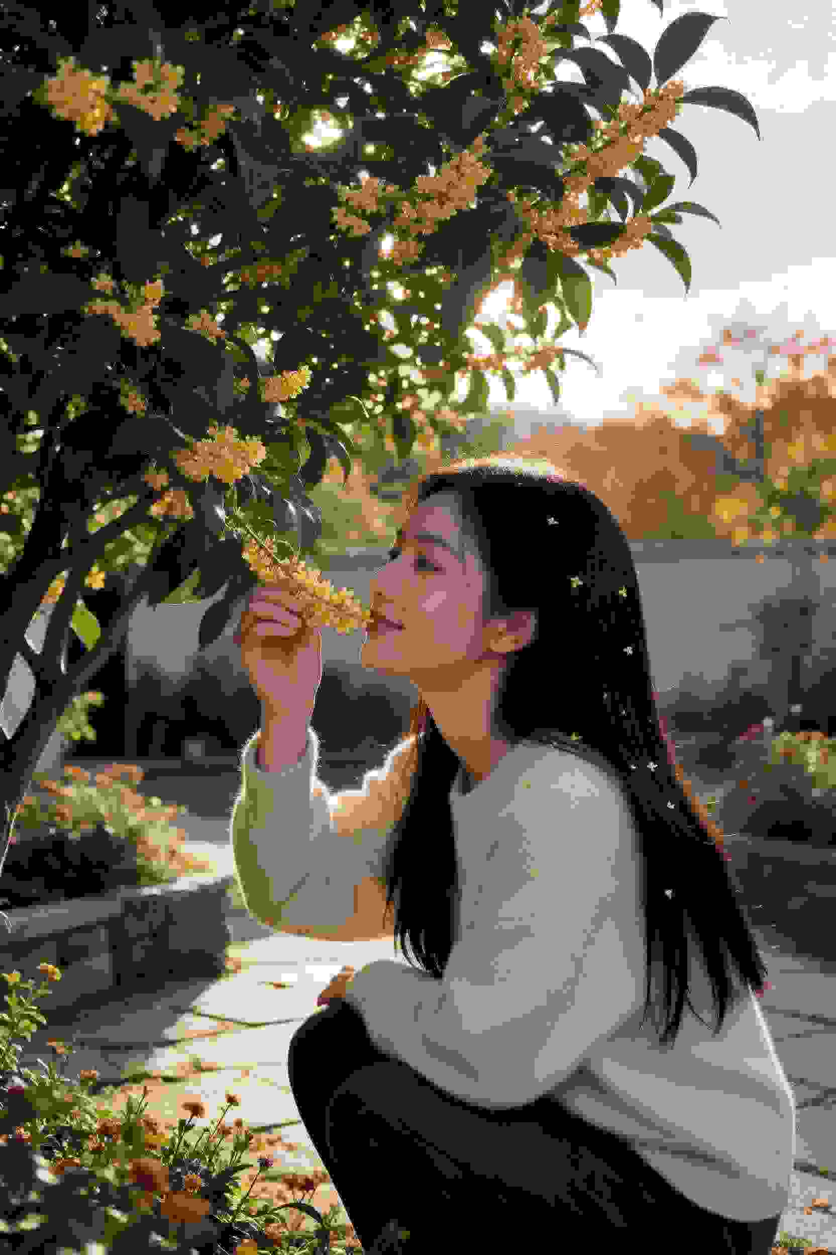 动画